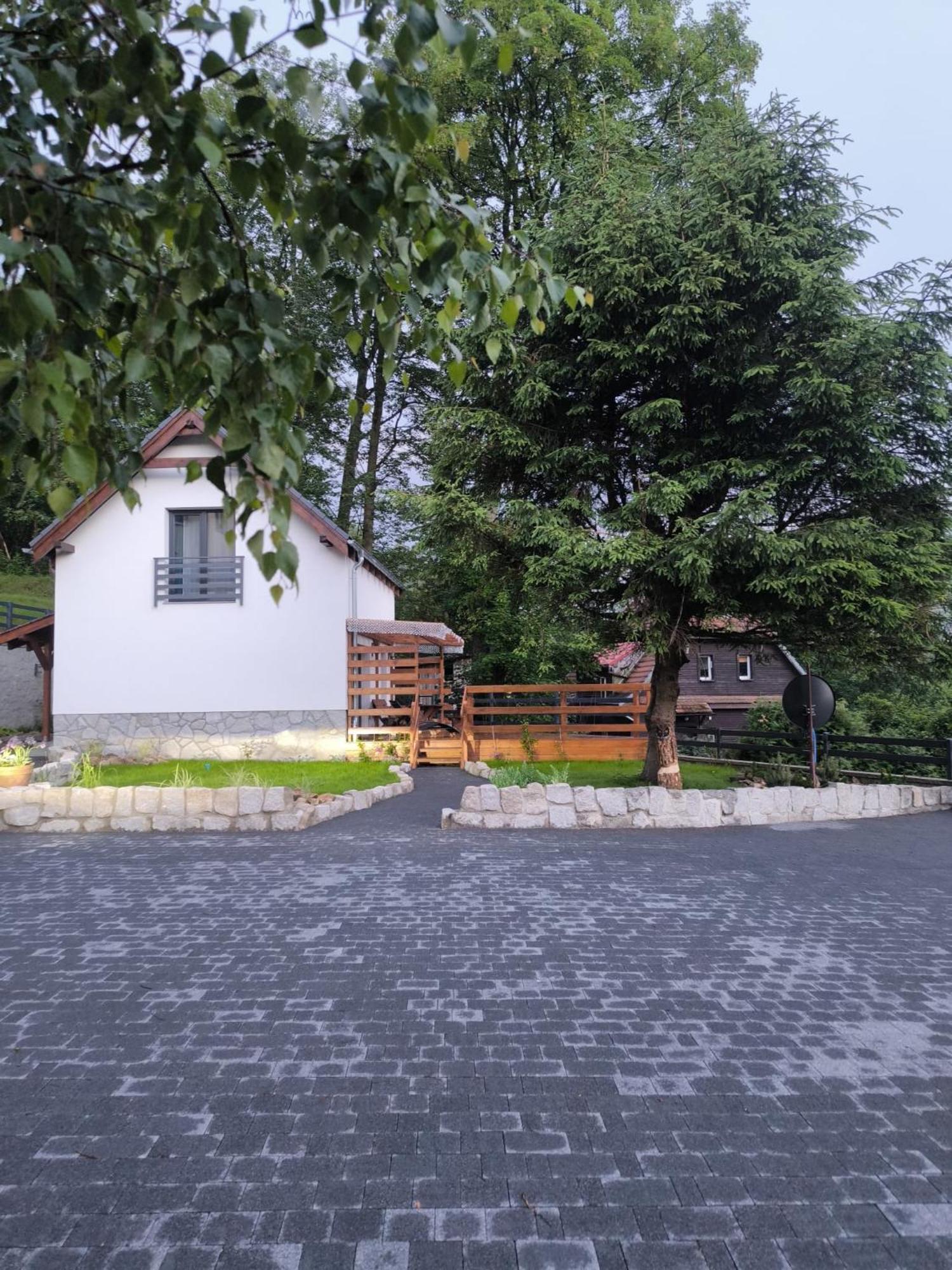 Izerski W Gorach Z Tarasem Swieradow-Zdroj